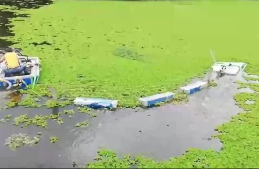 AlphaMERS tandem sweeping boats clearing a weed-covered waterway